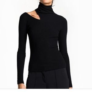 ALC turtleneck